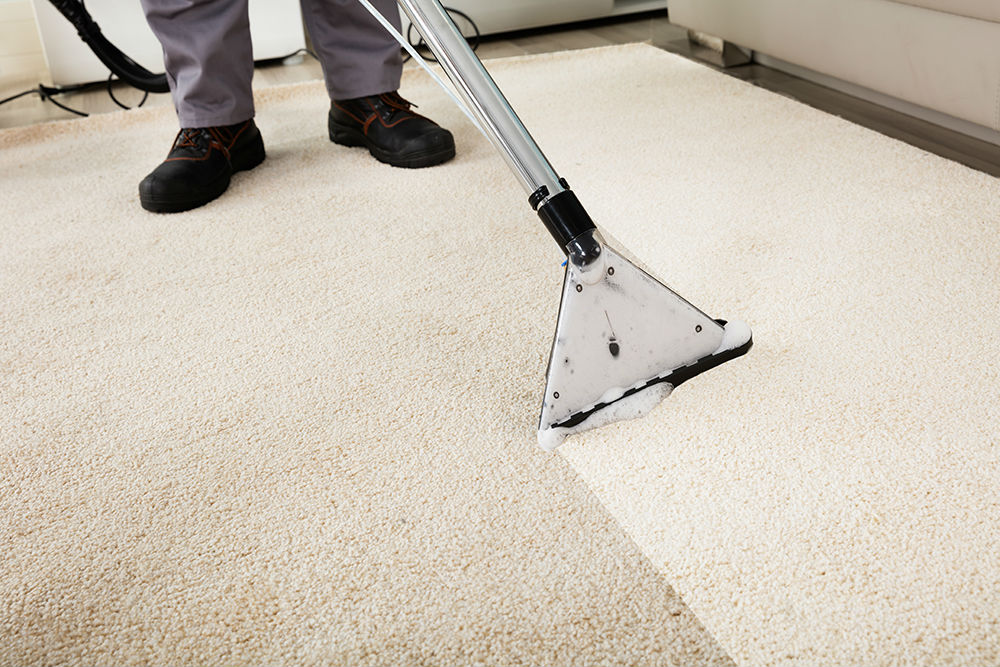 Carpet Cleaners Swansea
