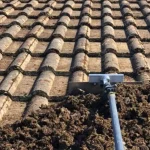 moss covered roofs