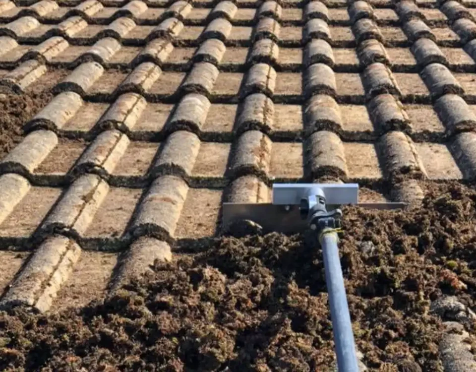 moss covered roofs