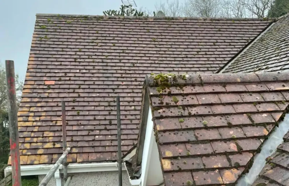 risks of not cleaning your roof