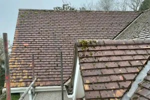 risks of not cleaning your roof