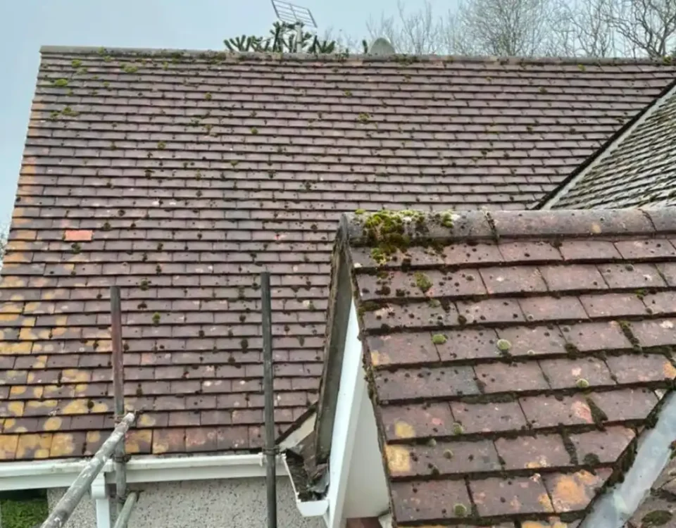 risks of not cleaning your roof