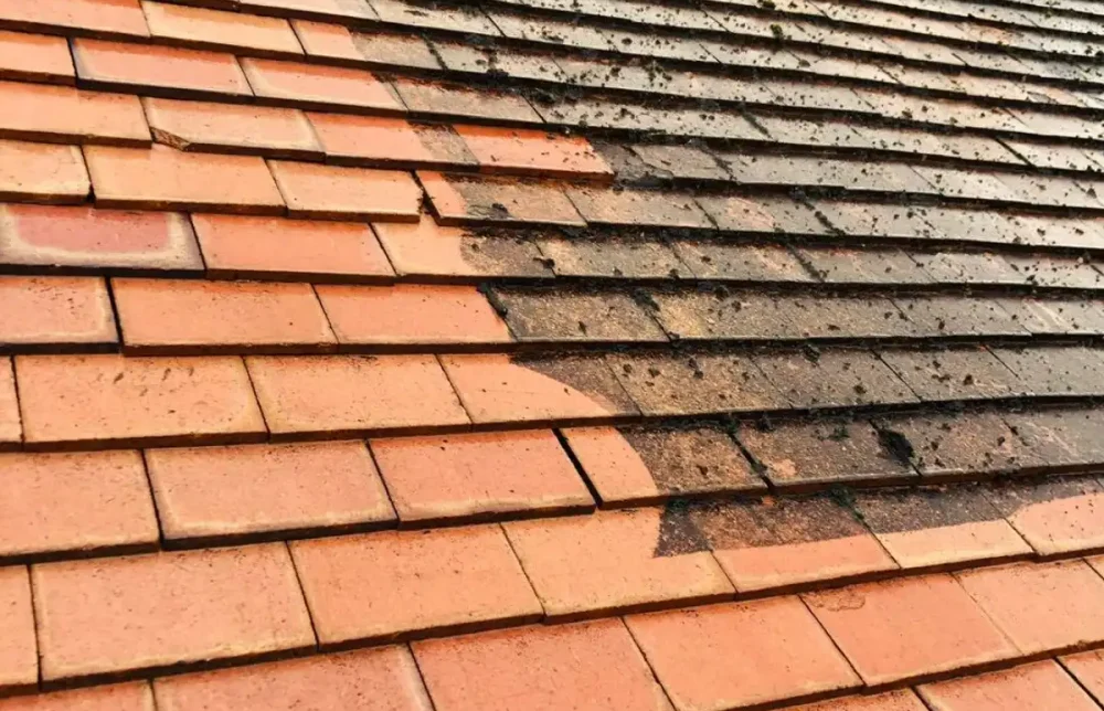 roof cleaning and moss removal