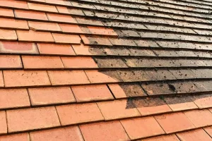 roof cleaning and moss removal