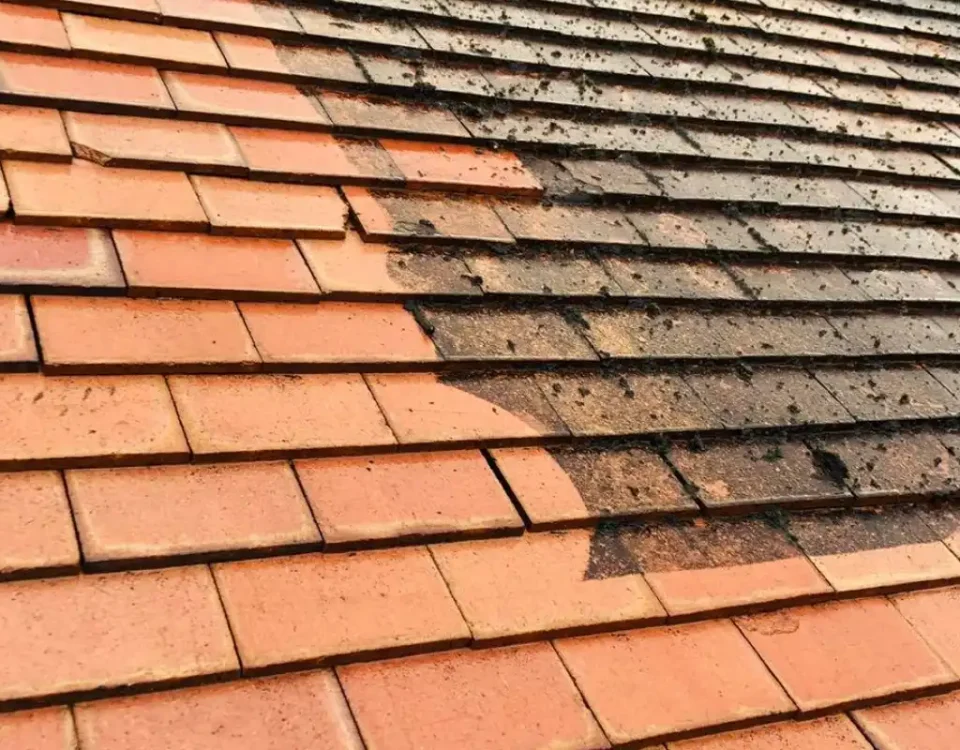 roof cleaning and moss removal